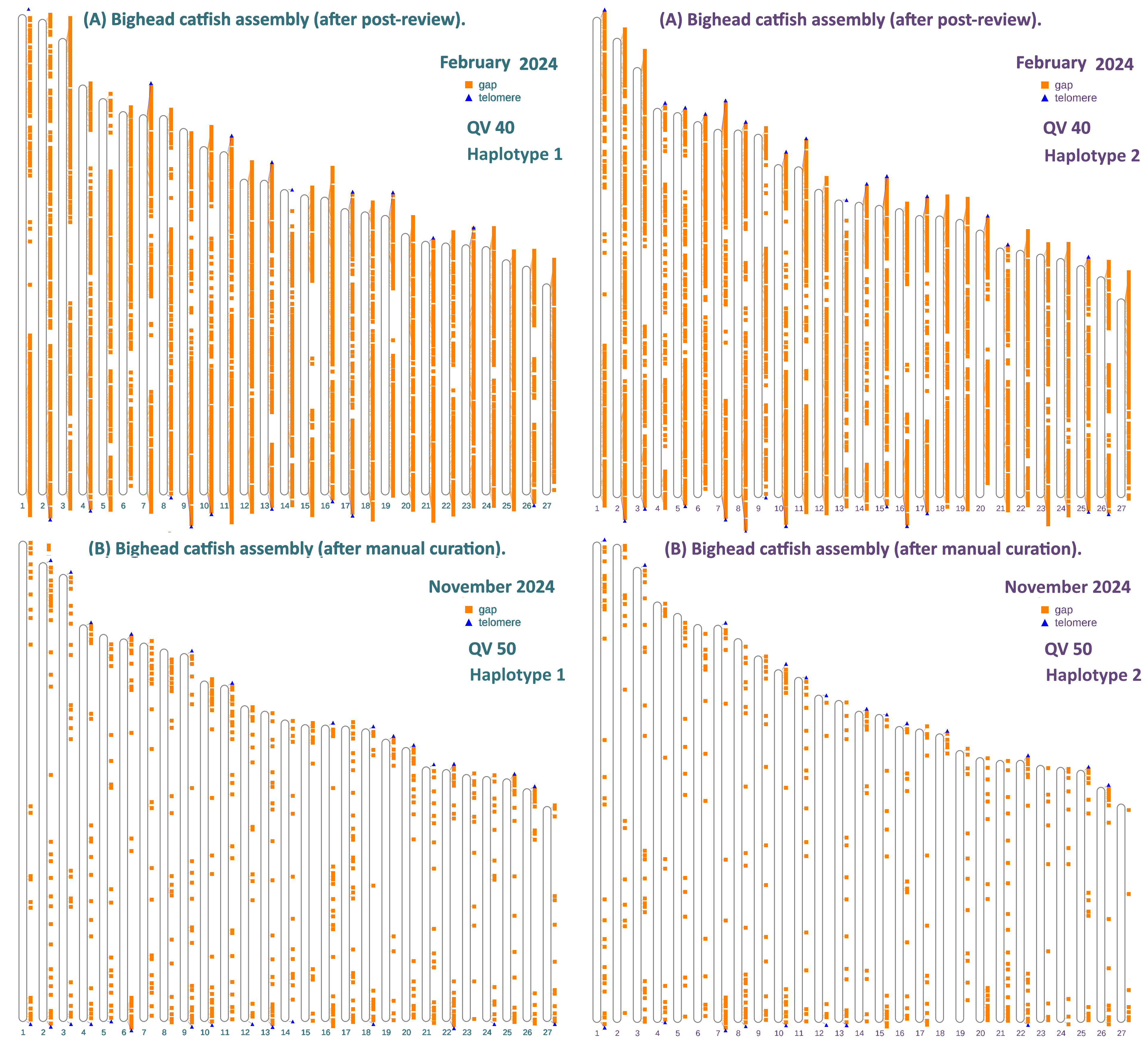 Genome assembly validation and curation progress