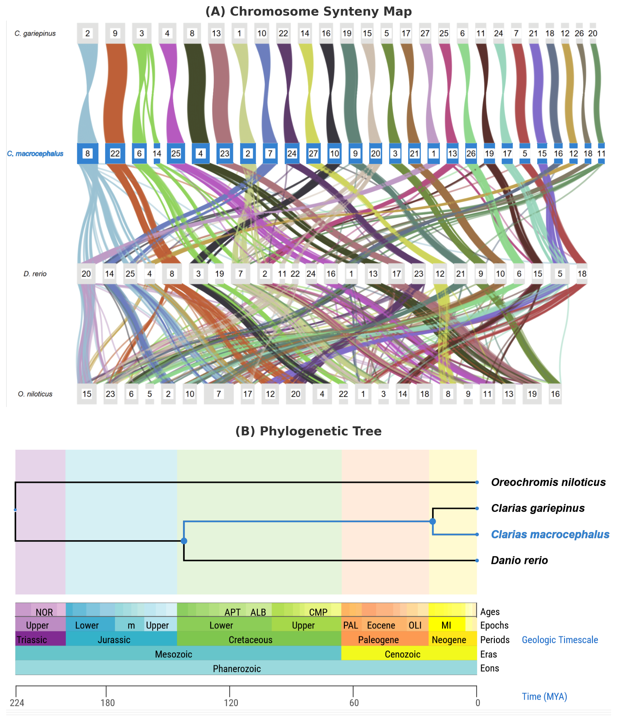 Genome assembly validation and curation progress