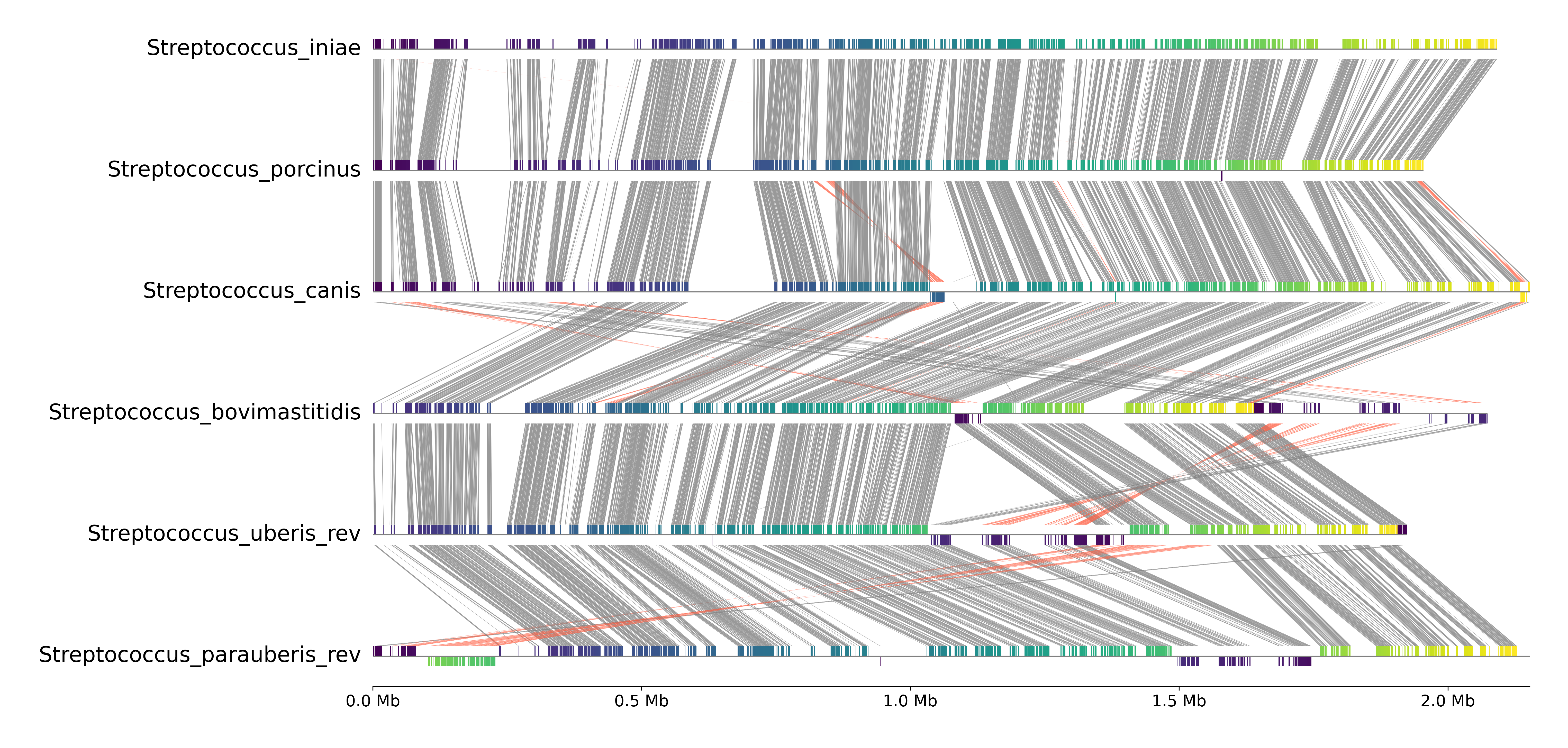 Comparative genomics of Streptococcus species