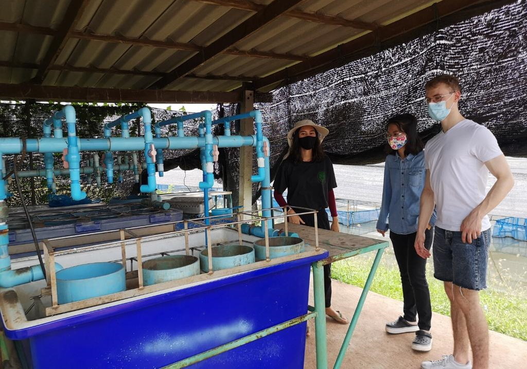 Aquaculture field work
