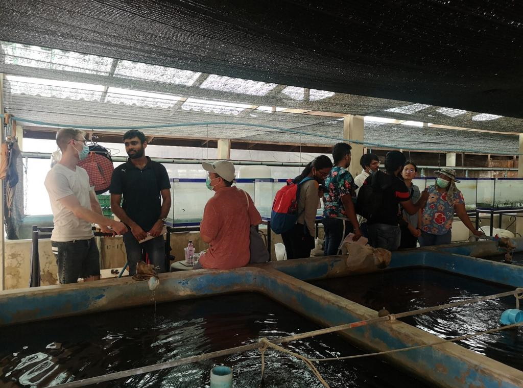Aquaculture systems and production