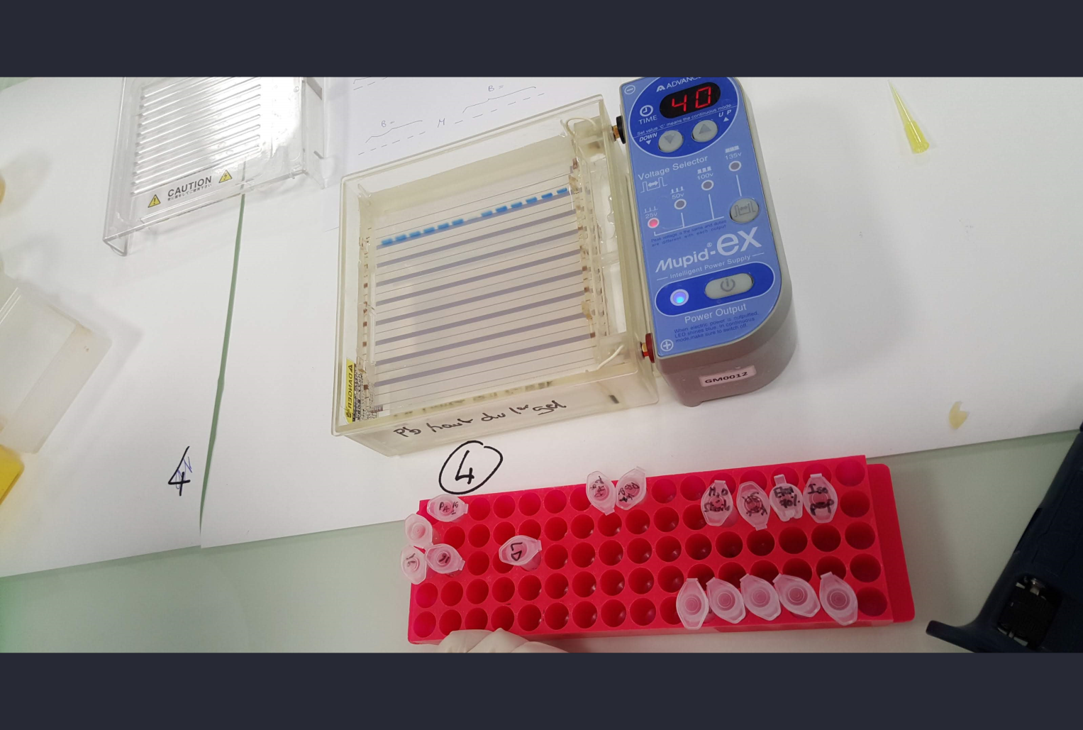 Molecular biology and field work