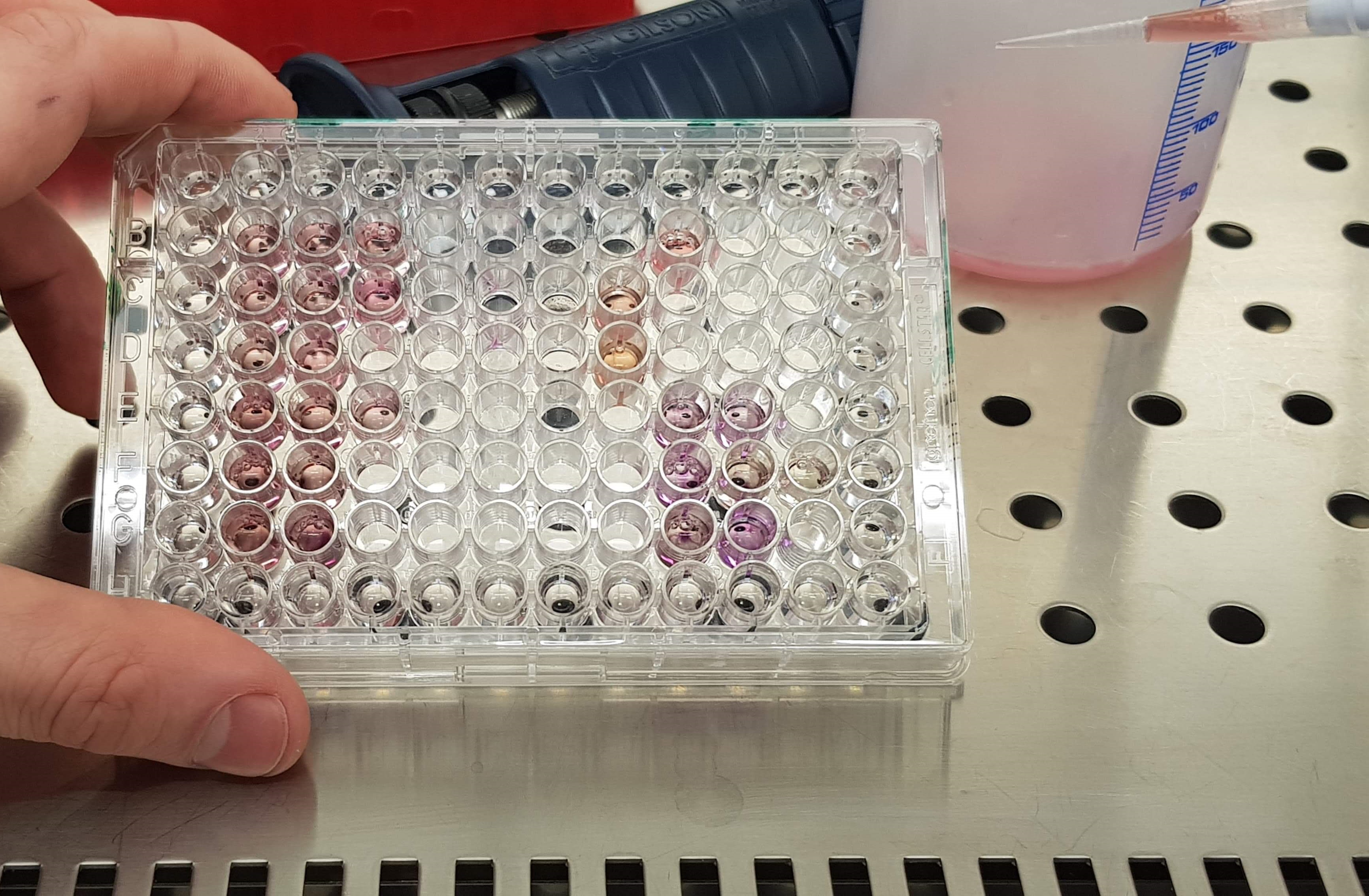 Molecular biology techniques
