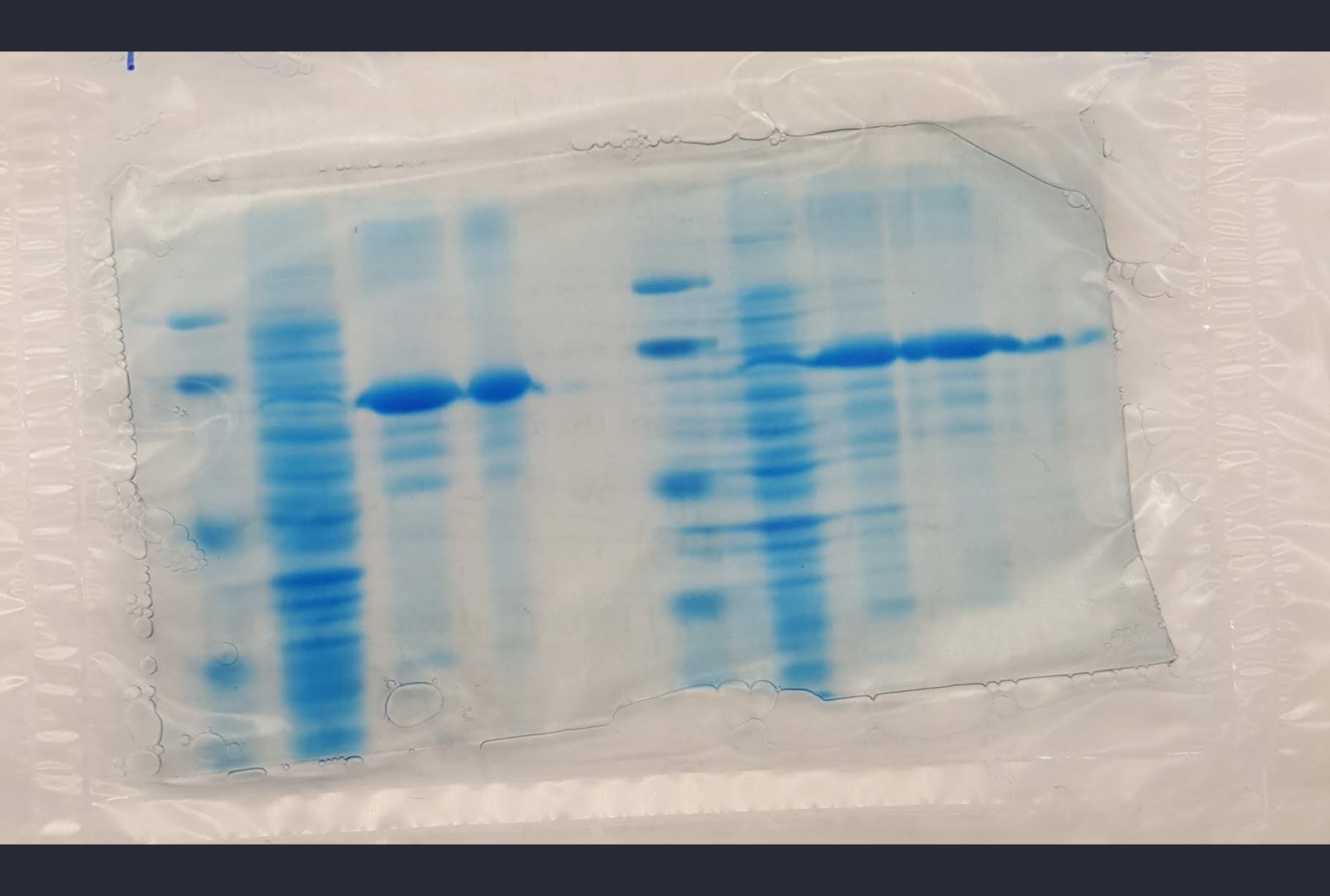 Molecular biology techniques