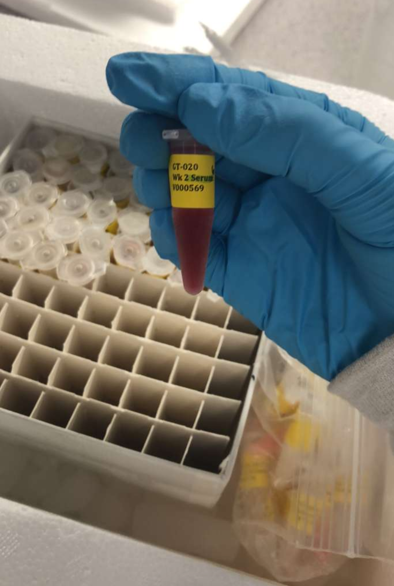 Molecular biology techniques